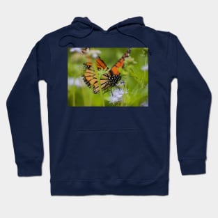 Butterfly Whisperer Hoodie